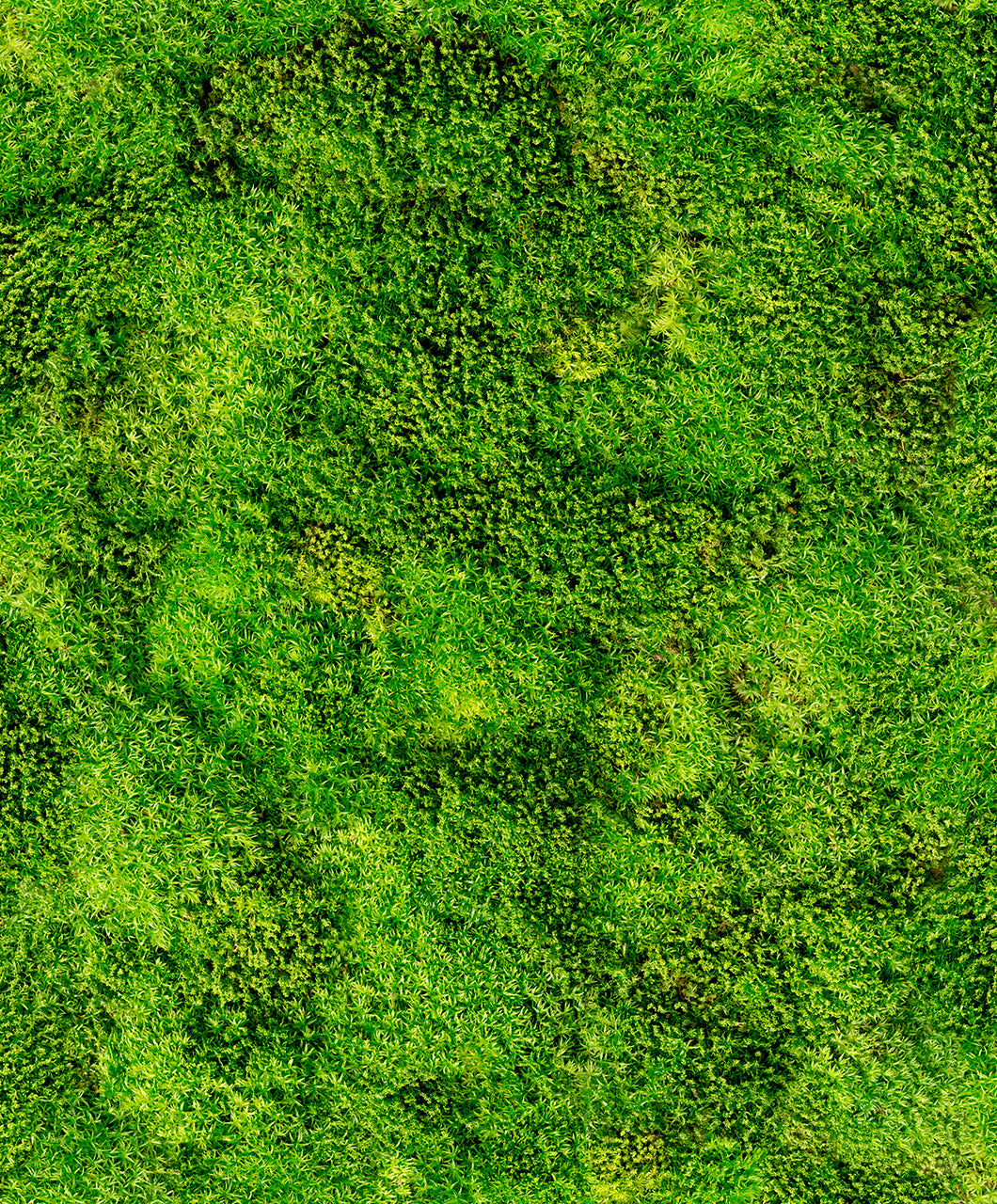 Marburg 45733 Struktura Wallpaper