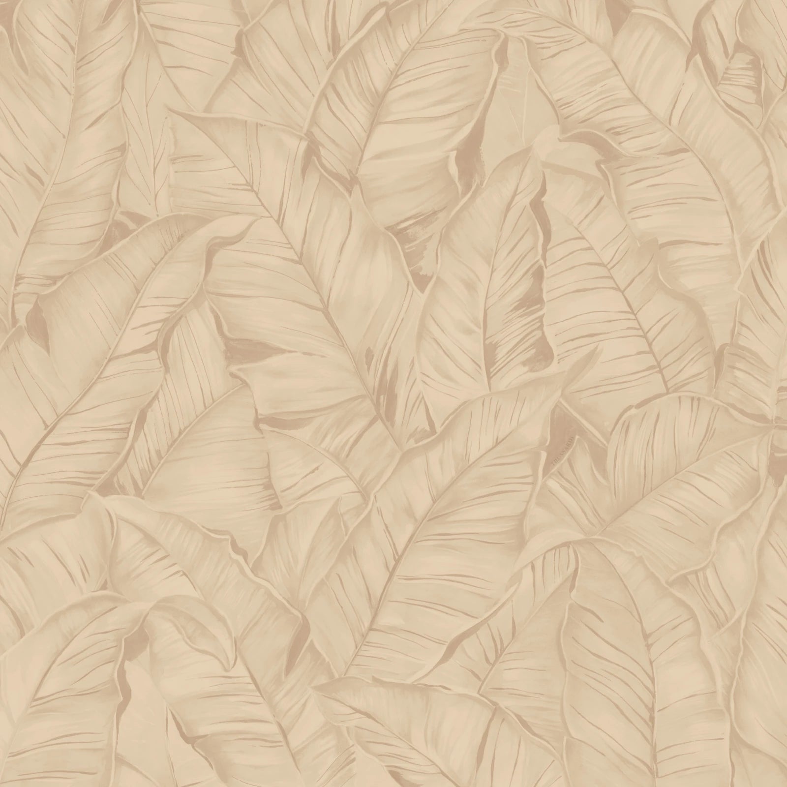 Trussardi Z30303 Trussardi 8 Wallpaper