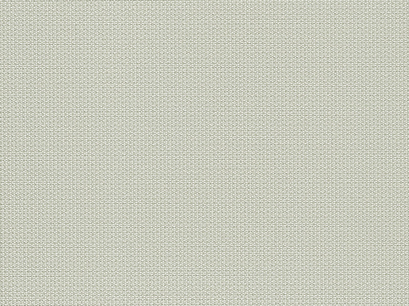 Zambaiti Contract Z42632 Eterea Wings Wallpaper