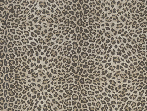 Philipp Plein Z80038 Wallpaper