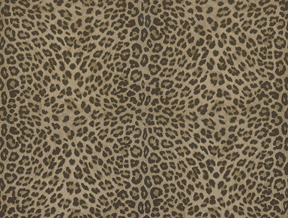 Philipp Plein Z80039 Wallpaper