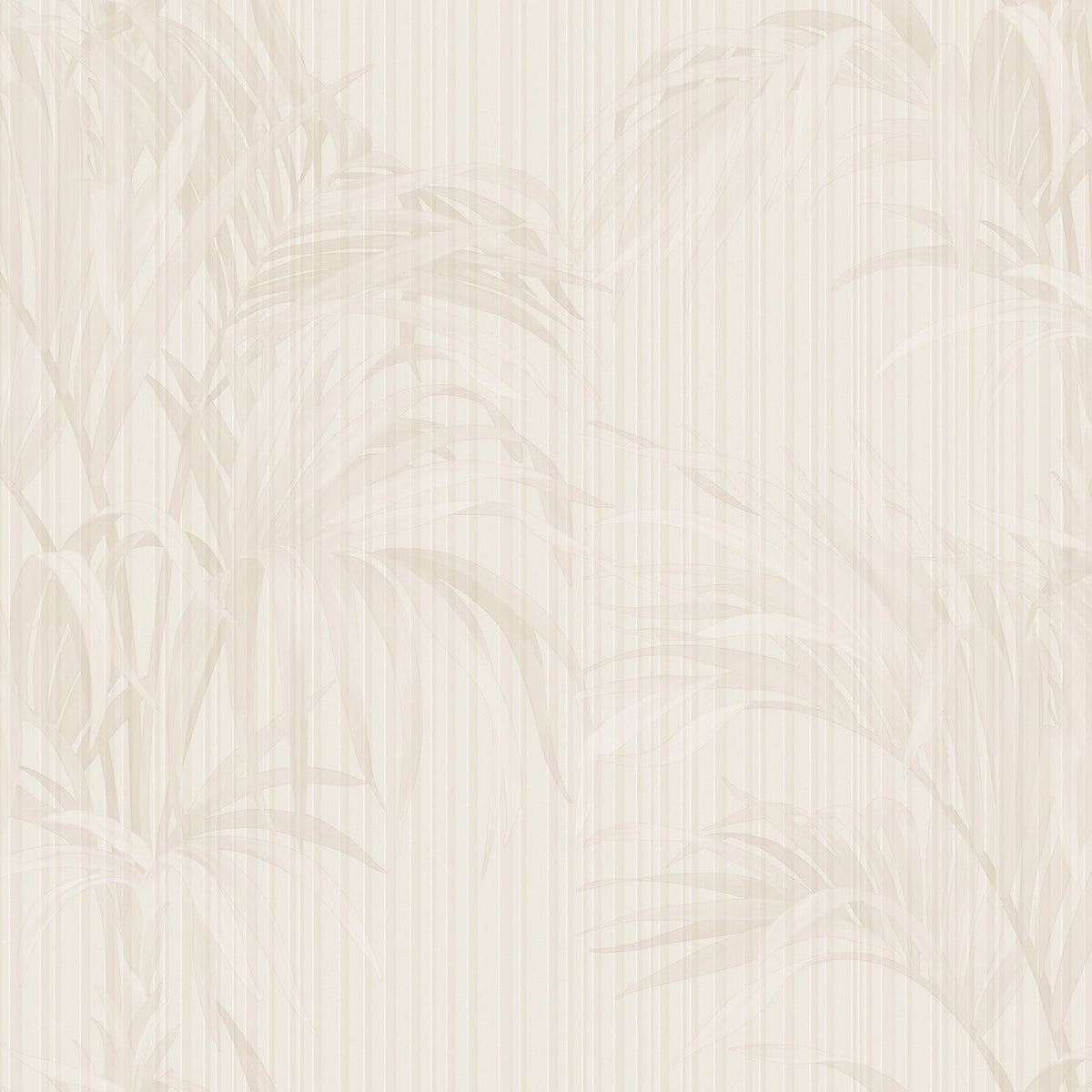 Philipp Plein Z81018 Wallpaper