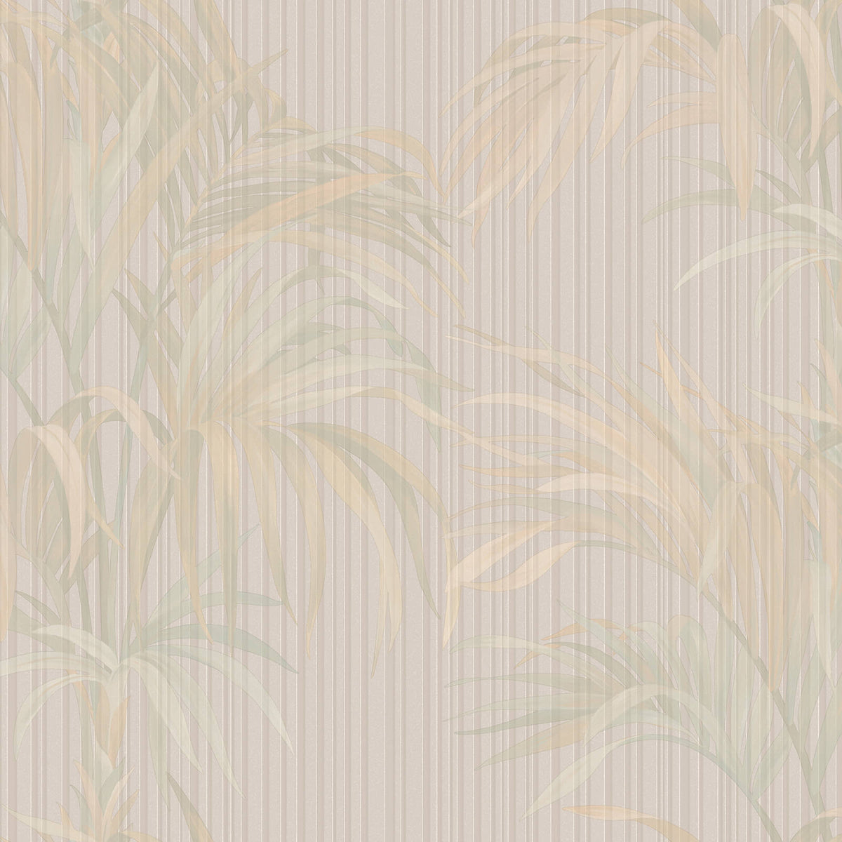 Philipp Plein Z81022 Wallpaper