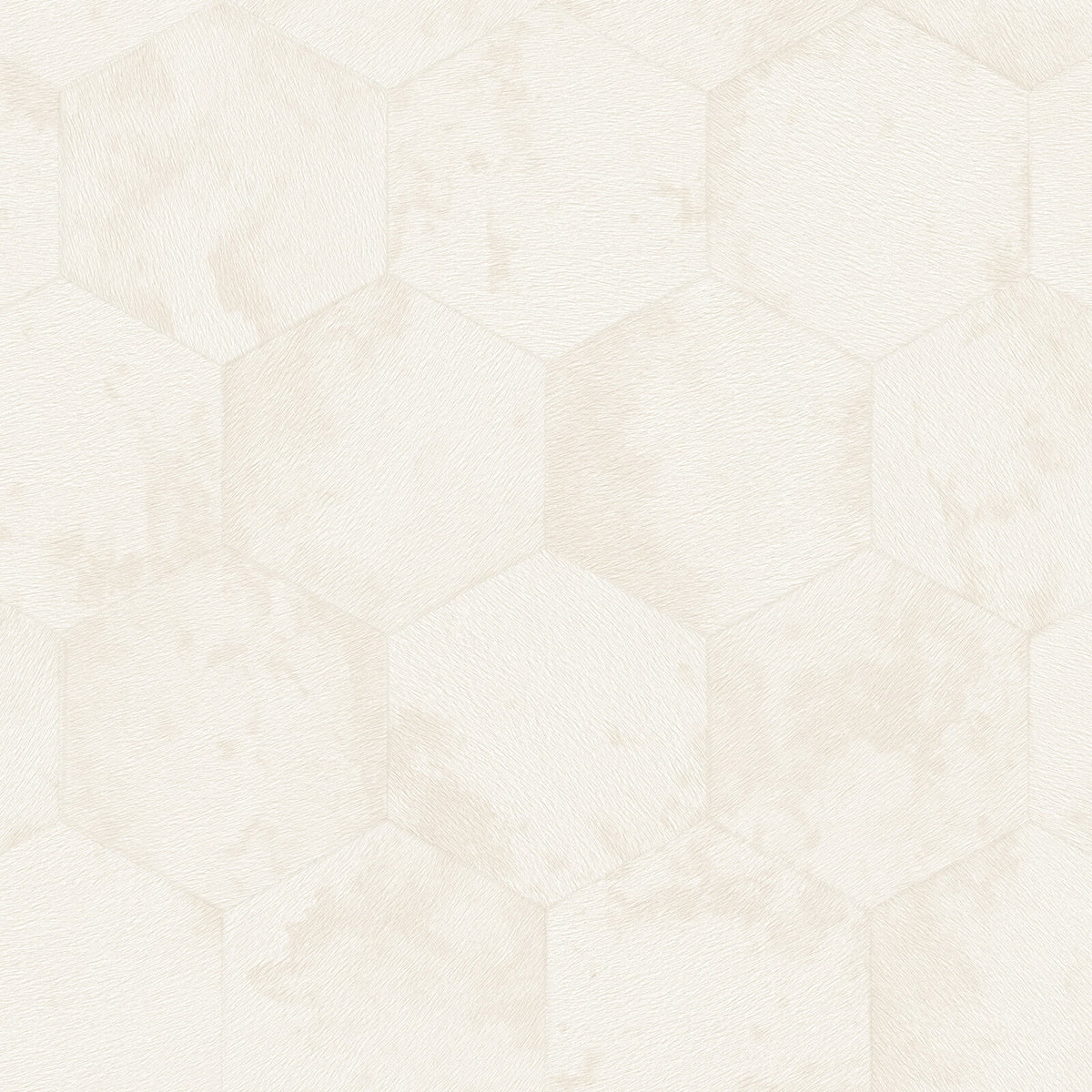 Philipp Plein Z81026 Wallpaper