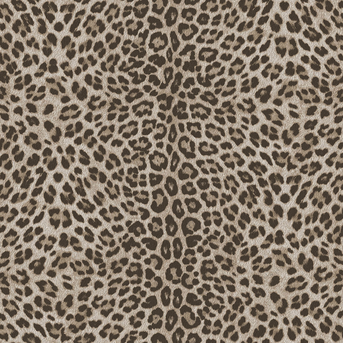 Philipp Plein Z81028 Wallpaper