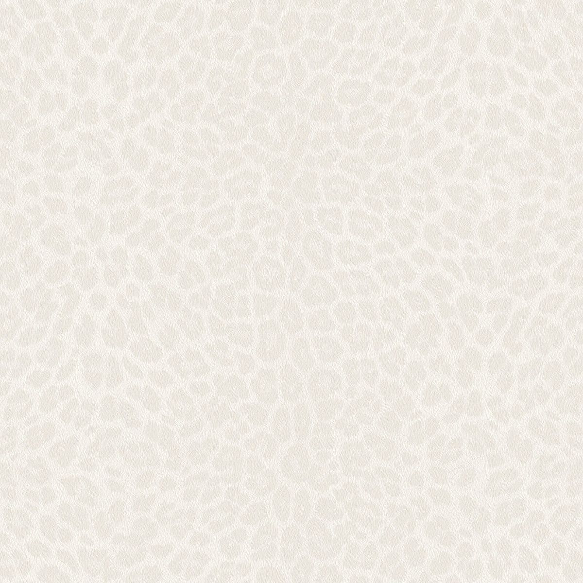 Philipp Plein Z81030 Wallpaper