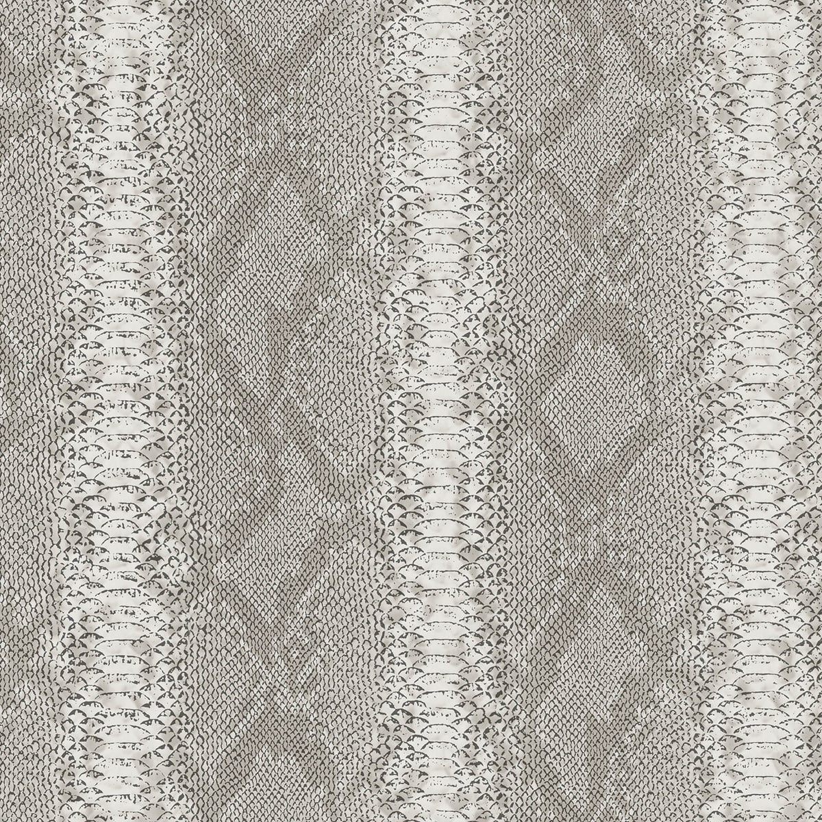 Philipp Plein Z81032 Wallpaper