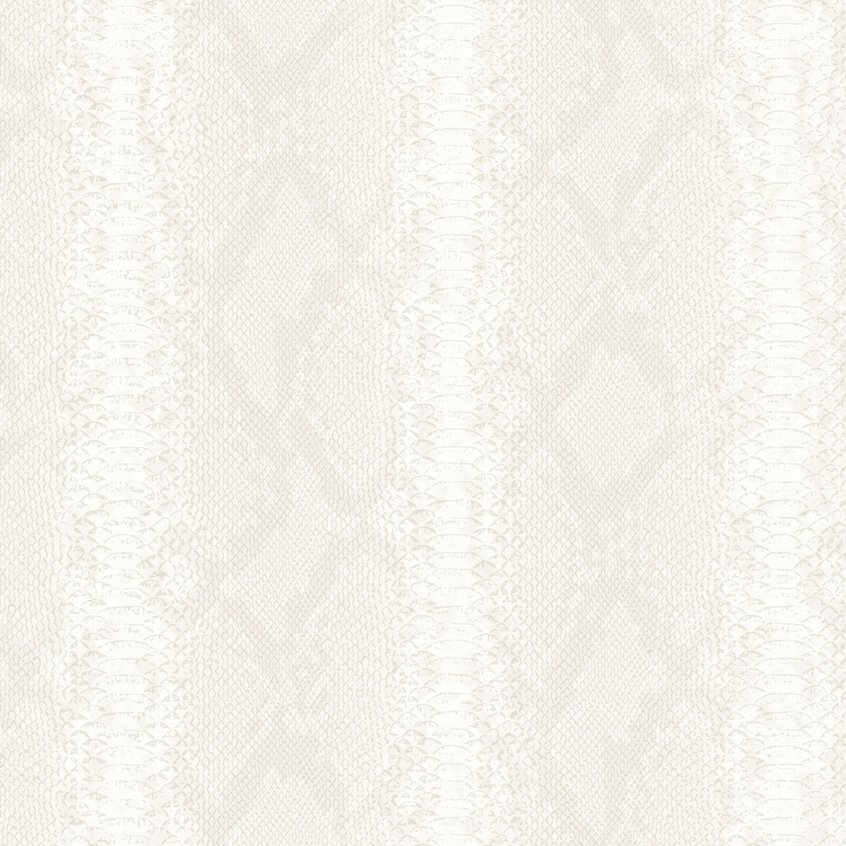 Philipp Plein Z81033 Wallpaper