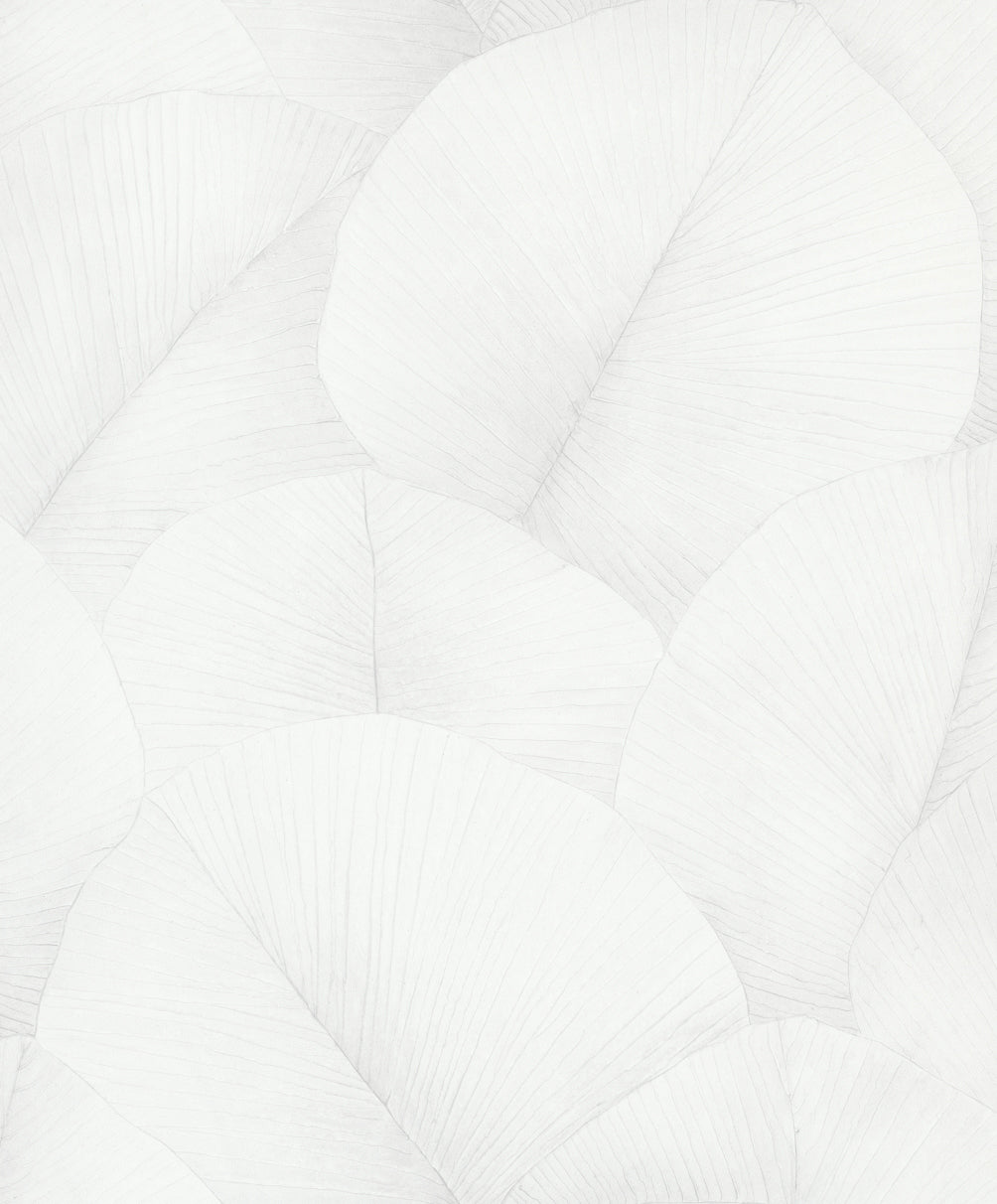 Marburg 34507 Kumano Wallpaper