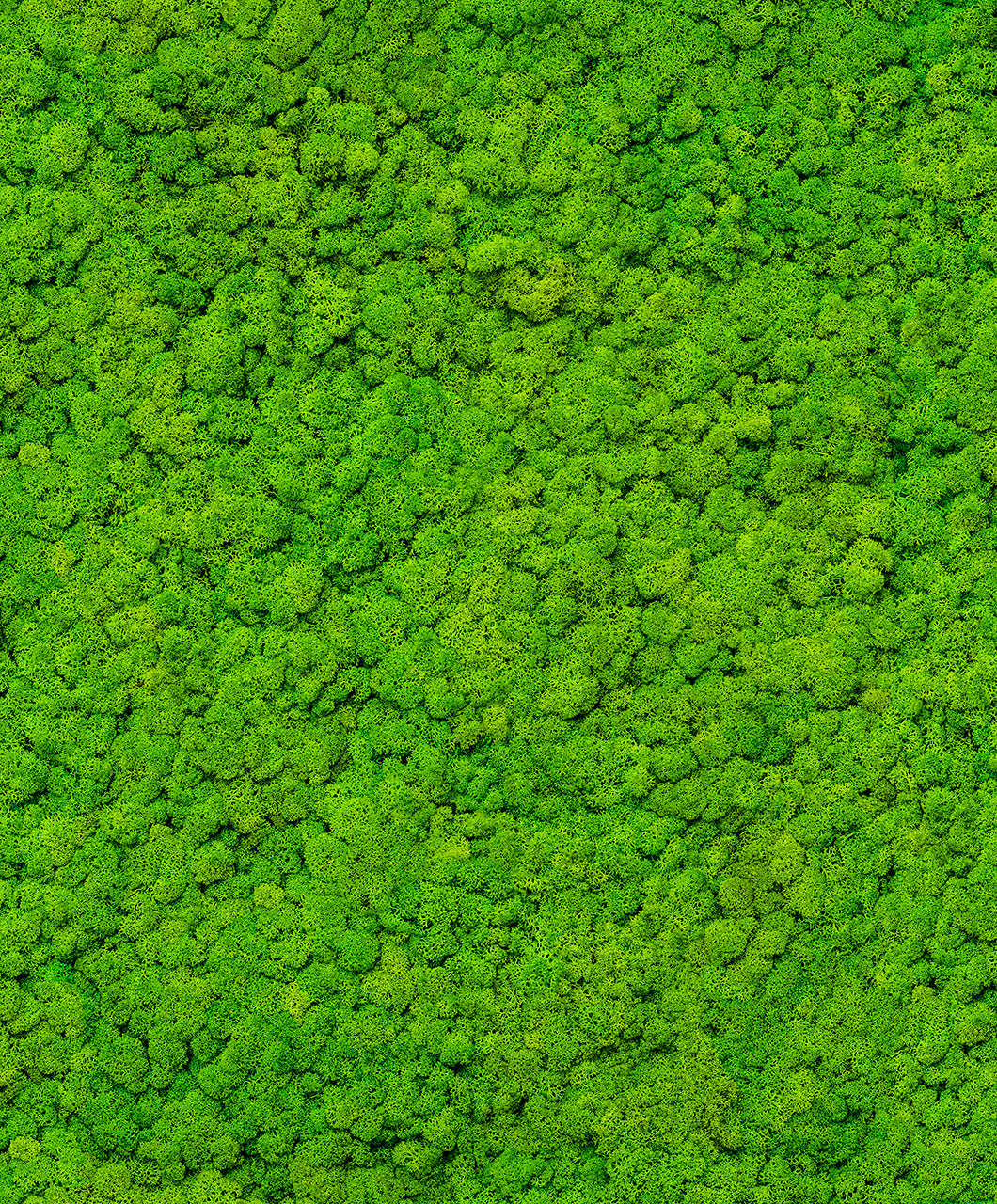 Marburg 34862 Up To Date Wallpaper