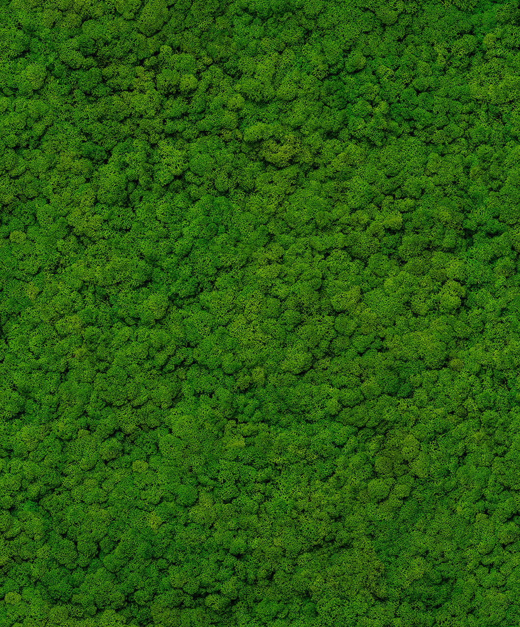 Marburg 34864 Up To Date Wallpaper