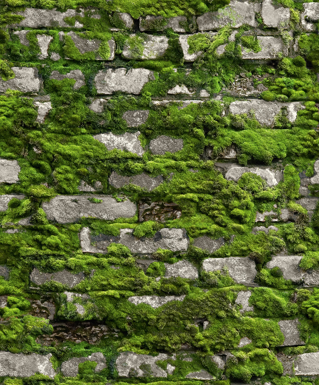 Marburg 45731 Struktura Wallpaper