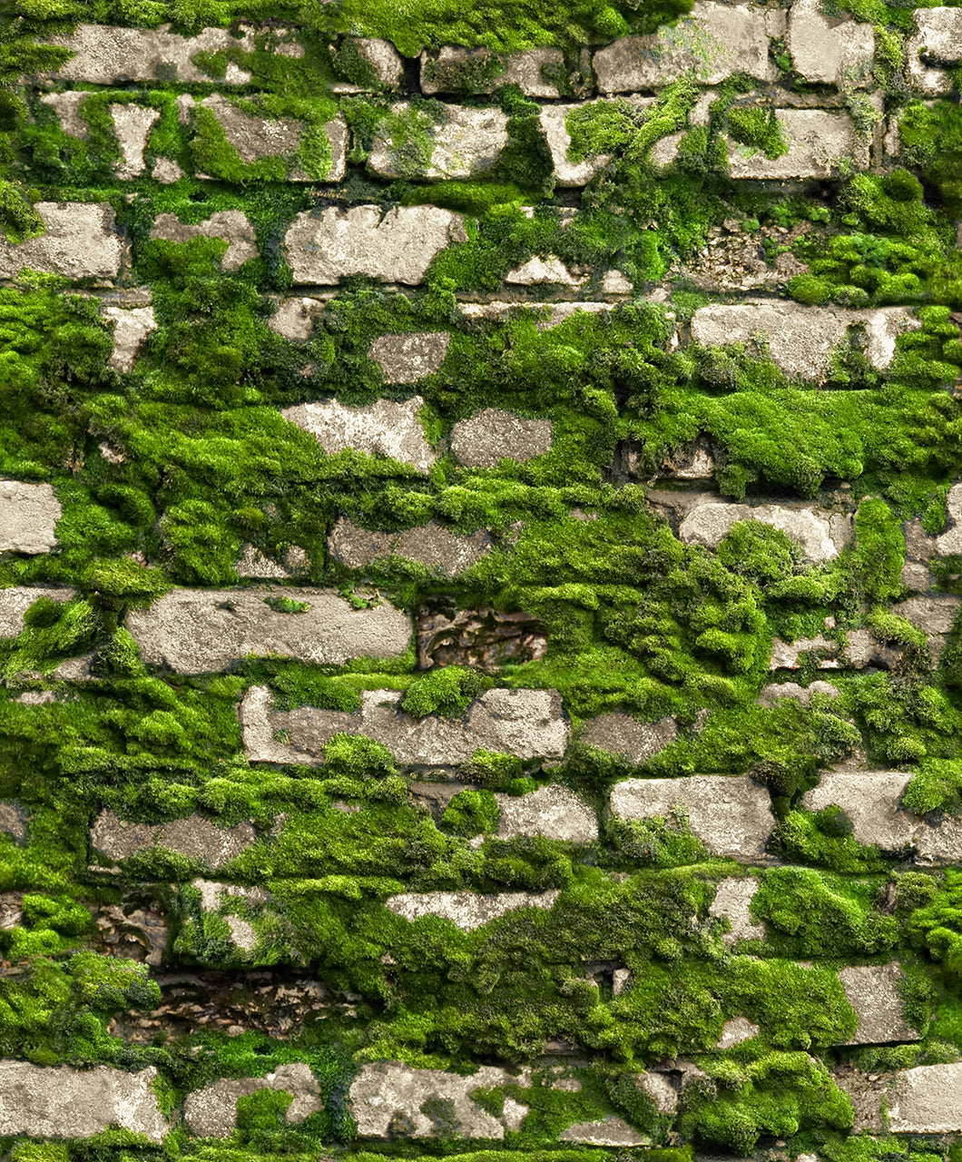Marburg 45732 Struktura Wallpaper