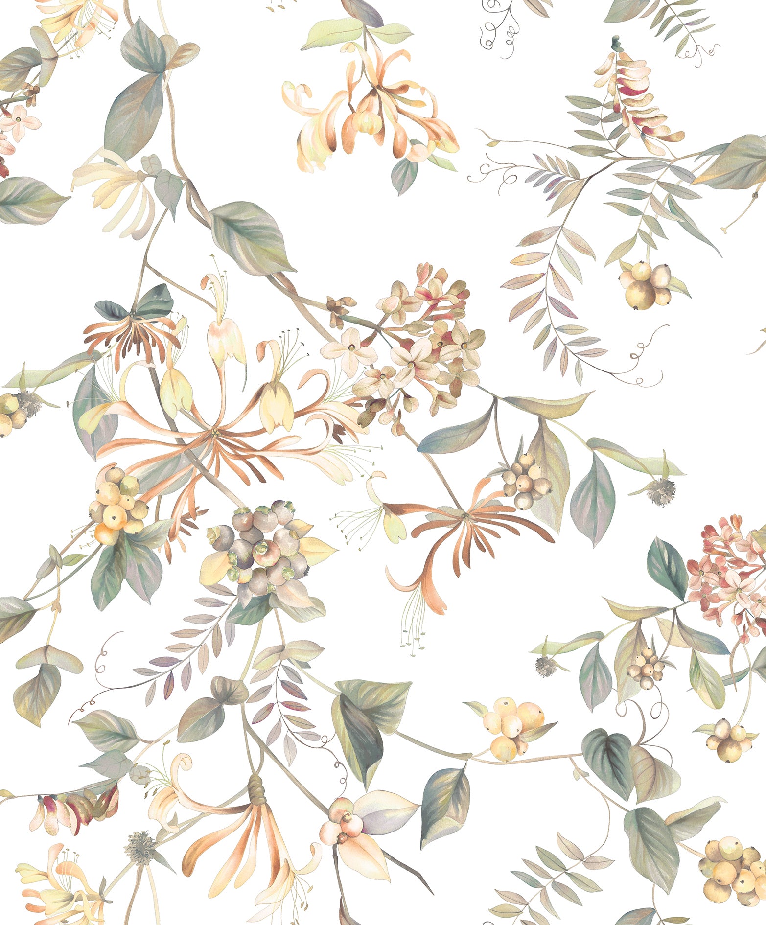Marburg 47455 Flora Wallpaper
