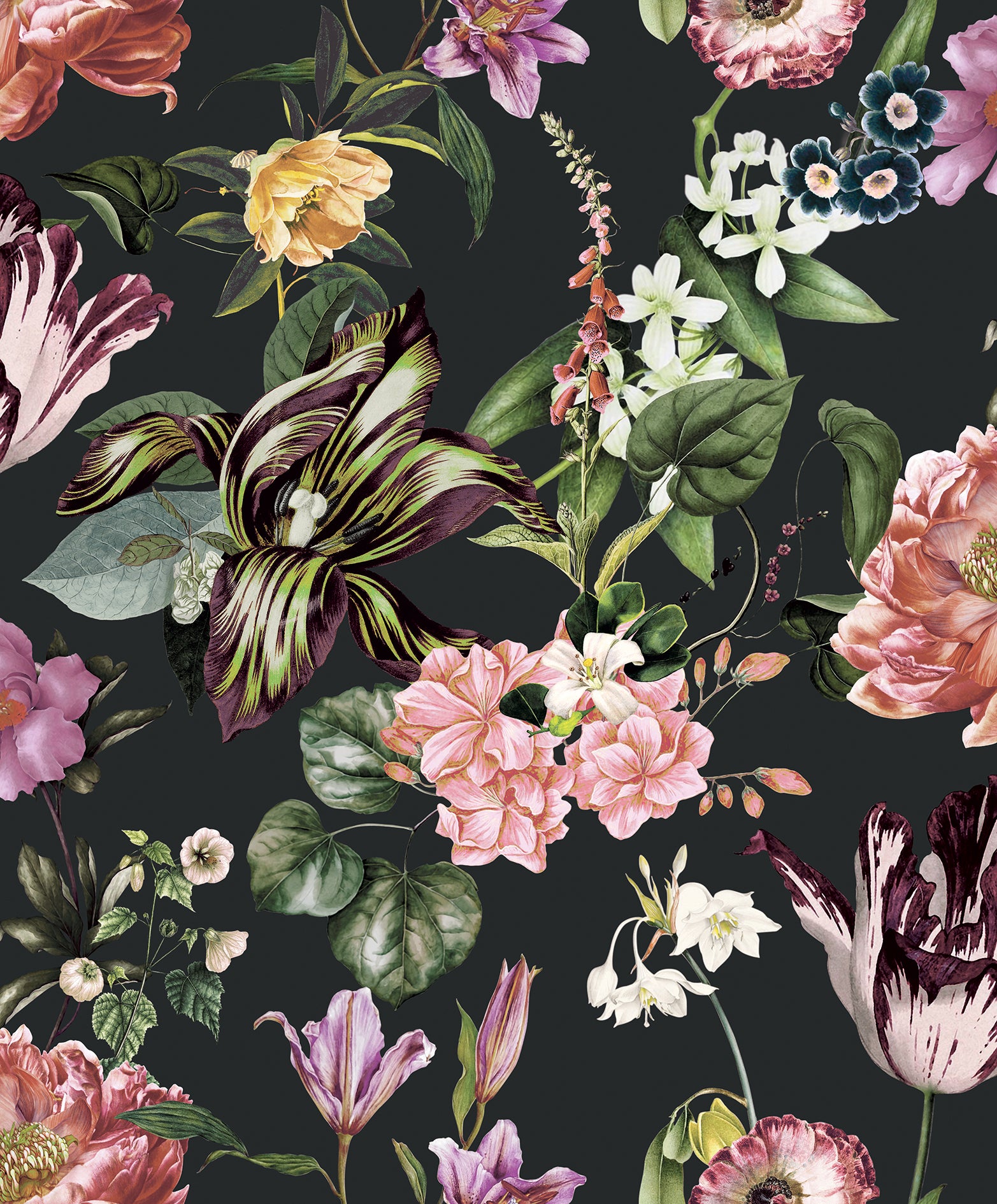 Marburg 47460 Flora Wallpaper
