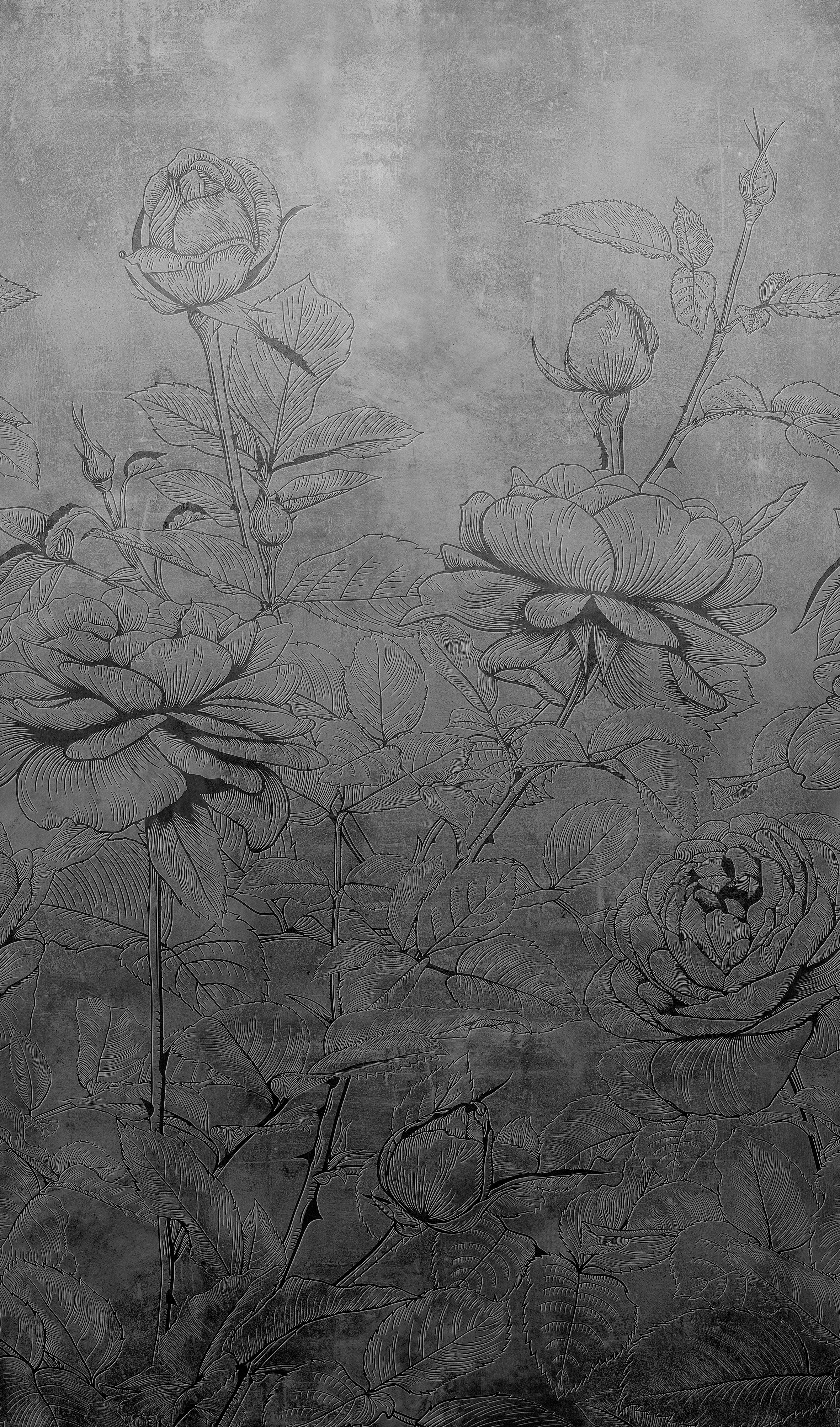 Marburg 81602 Novamur Jackie Mural
