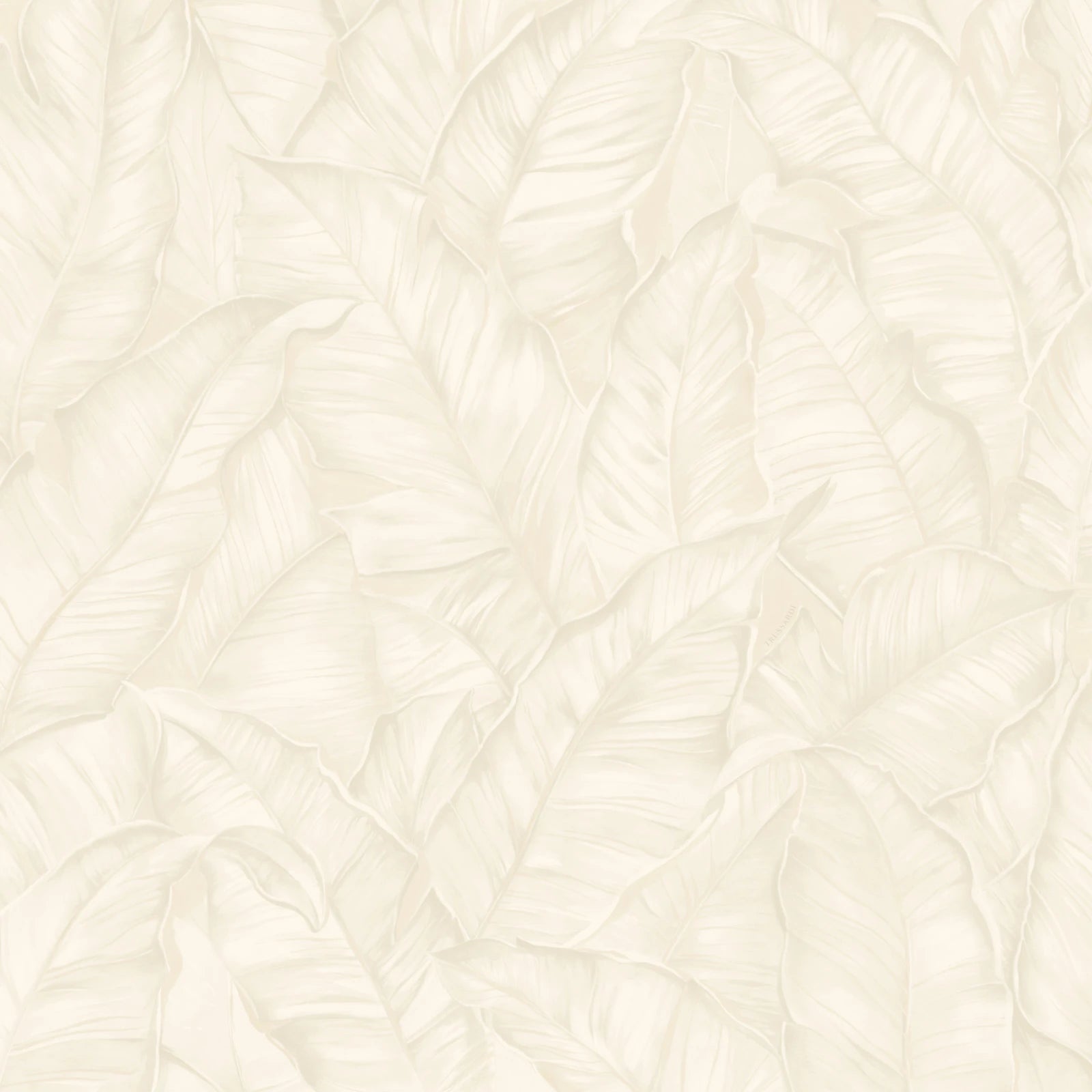 Trussardi Z30308 Trussardi 8 Wallpaper