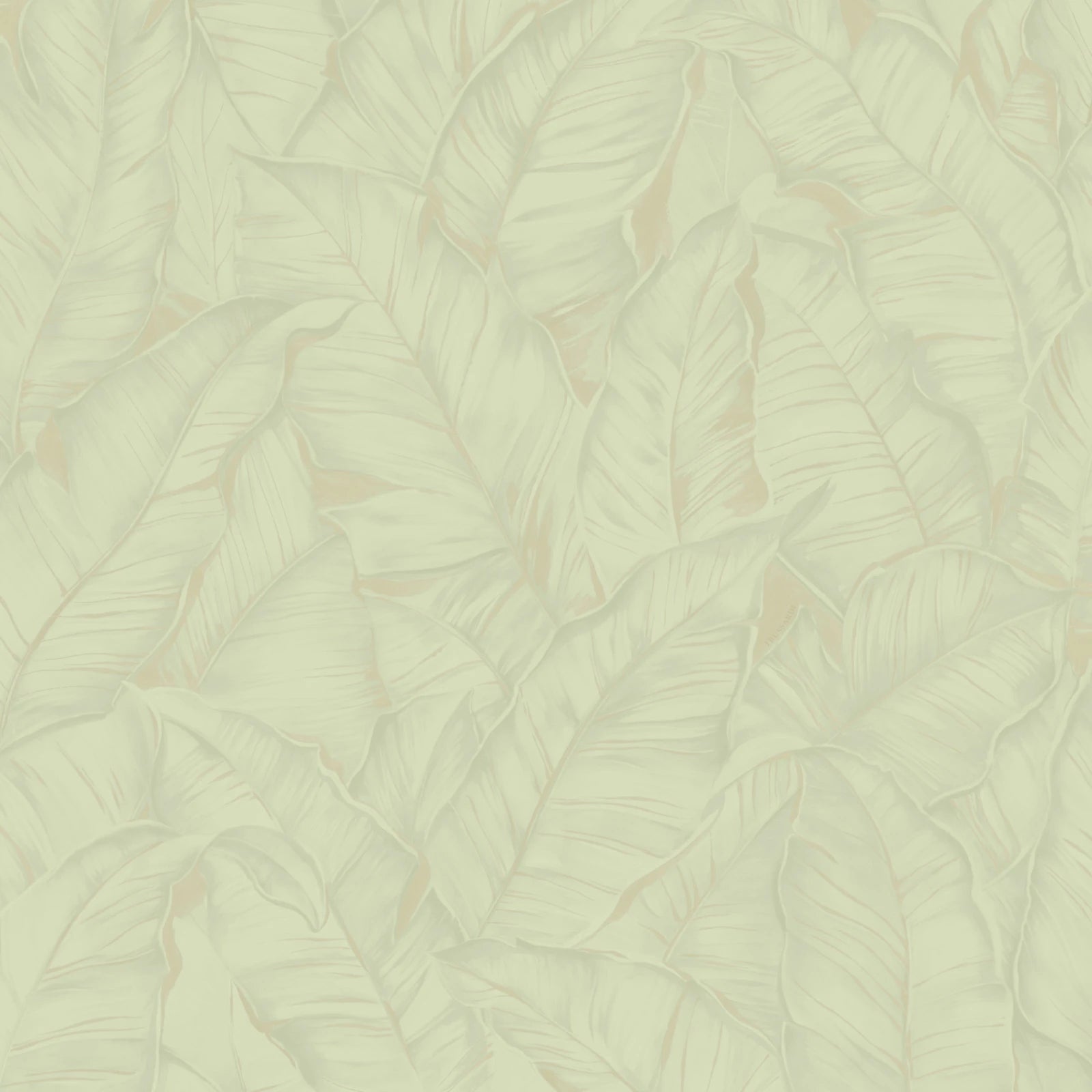 Trussardi Z30309 Trussardi 8 Wallpaper