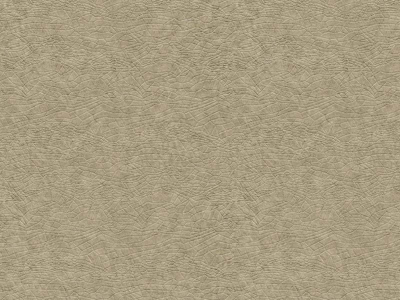 Zambaiti Contract Z42604 Eterea Materia Wallpaper