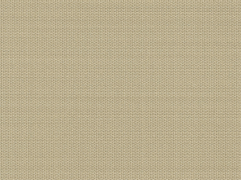 Zambaiti Contract Z42633 Eterea Wings Wallpaper