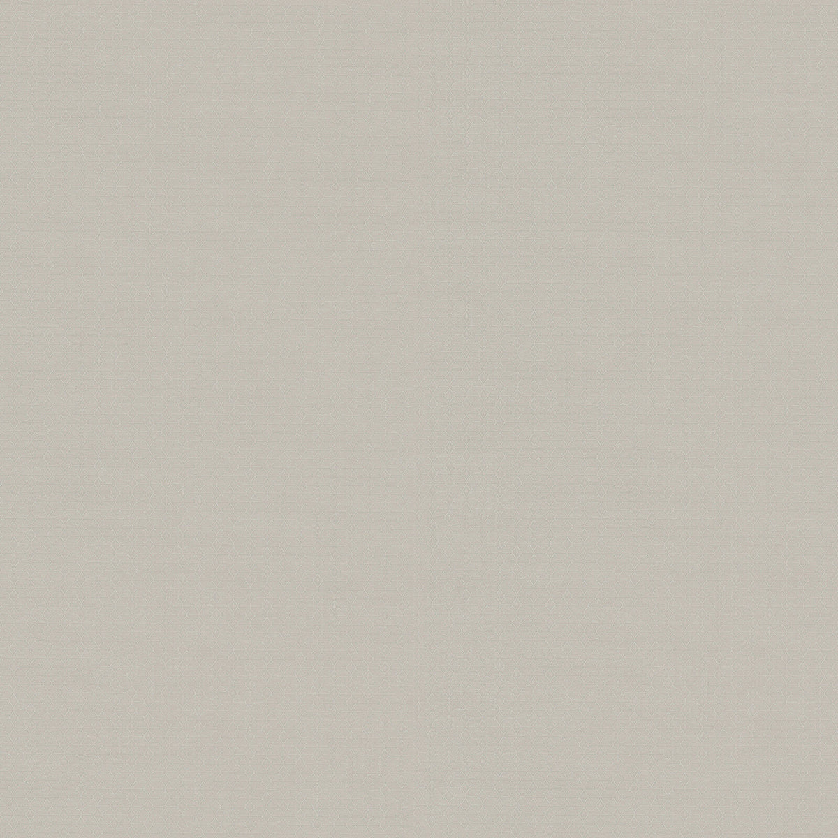 Zambaiti Contract Z54512 Fuksas Summertime Wallpaper