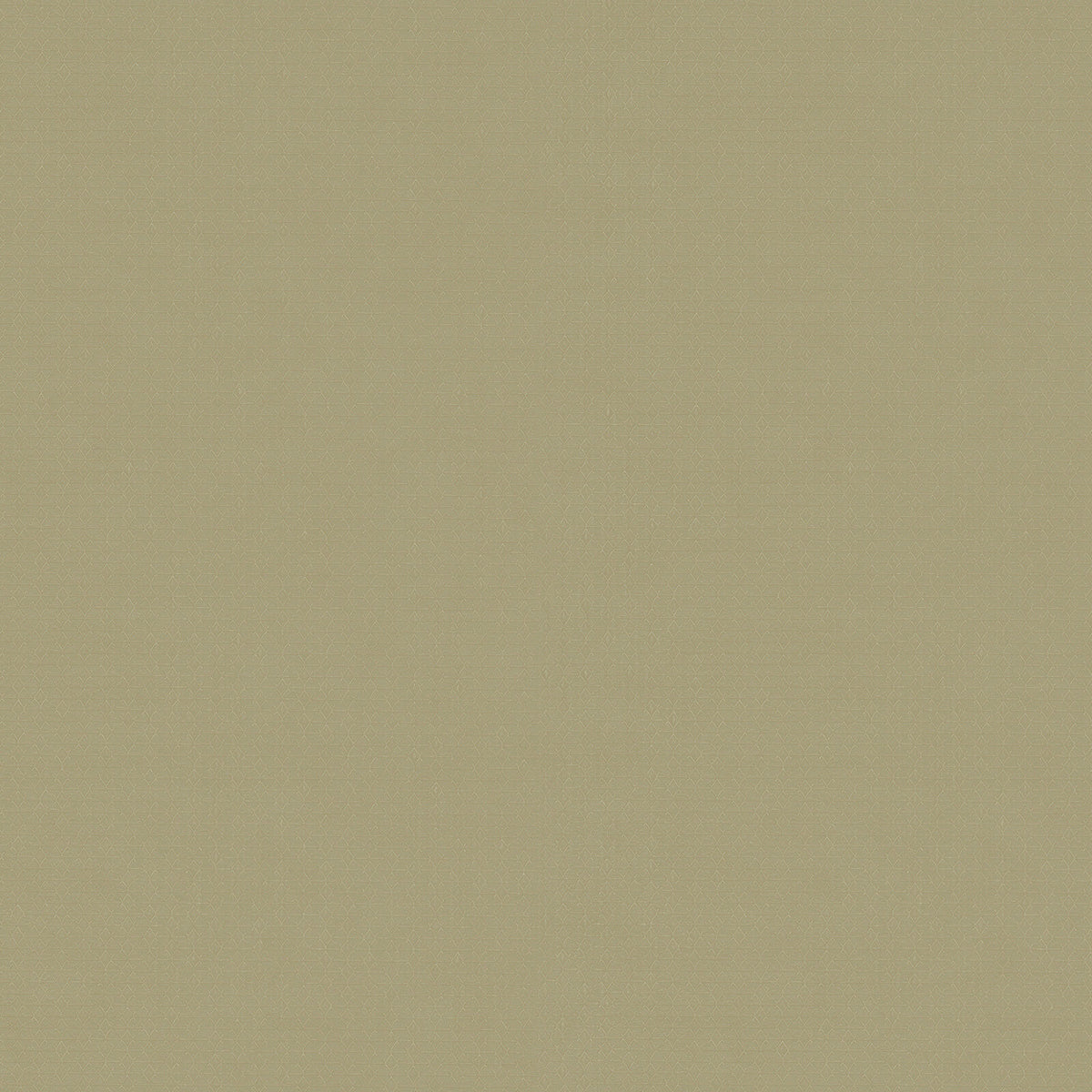 Zambaiti Contract Z54513 Fuksas Summertime Wallpaper