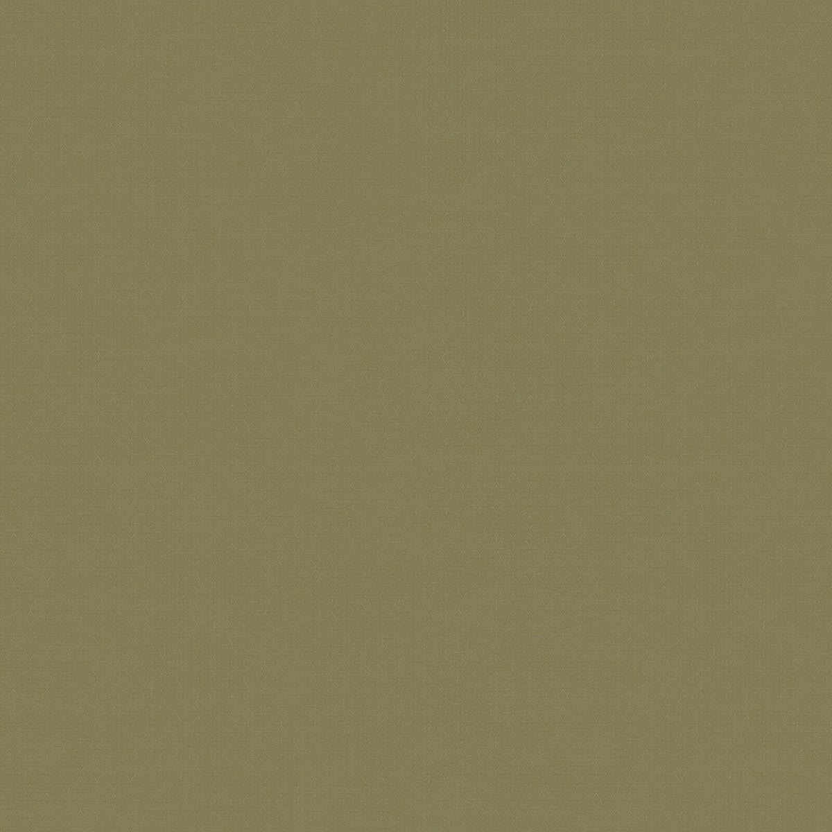 Zambaiti Contract Z54514 Fuksas Summertime Wallpaper