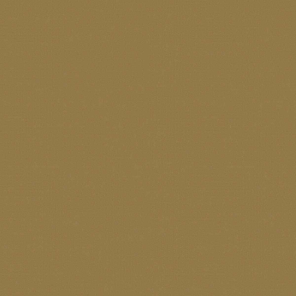 Zambaiti Contract Z54515 Fuksas Summertime Wallpaper