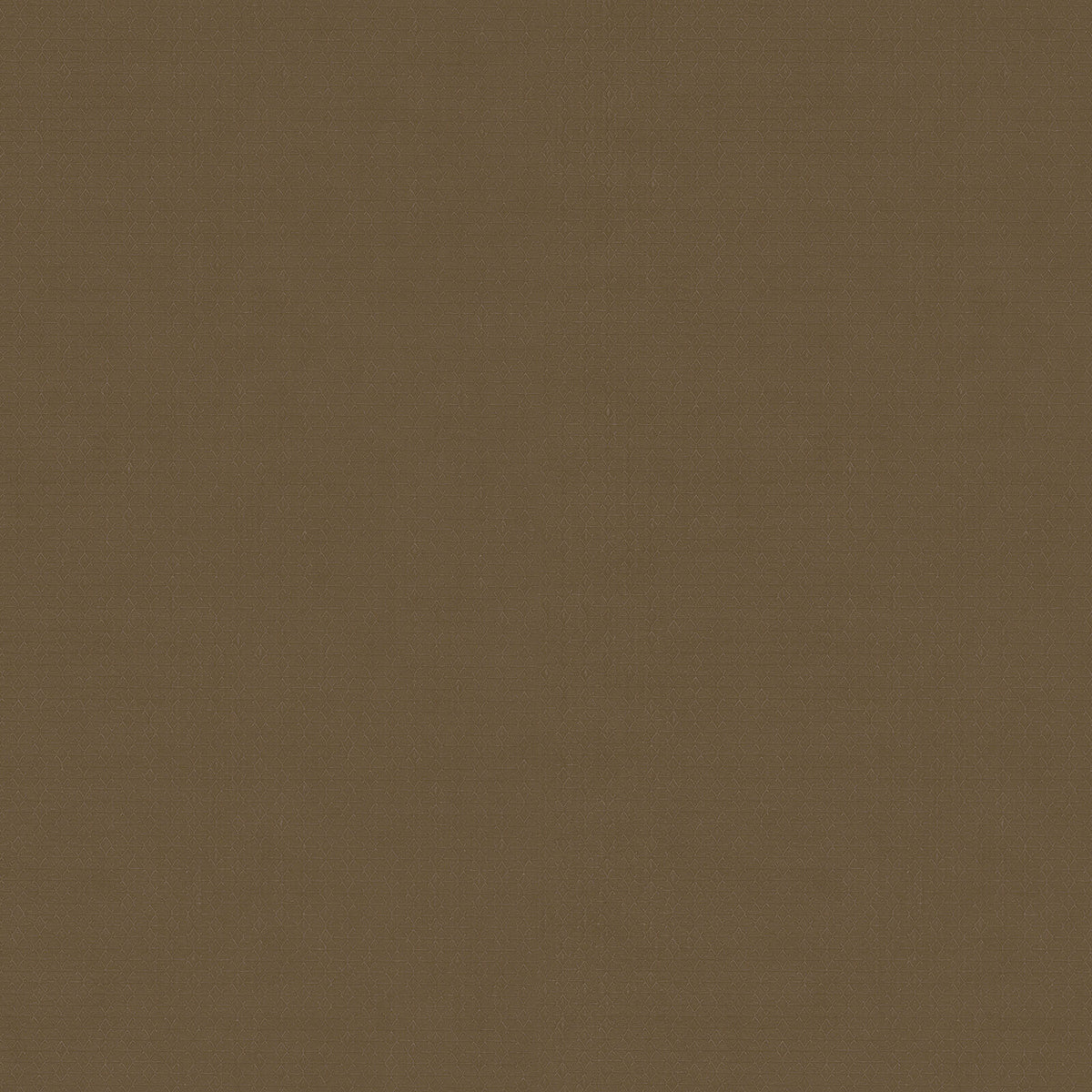 Zambaiti Contract Z54516 Fuksas Summertime Wallpaper