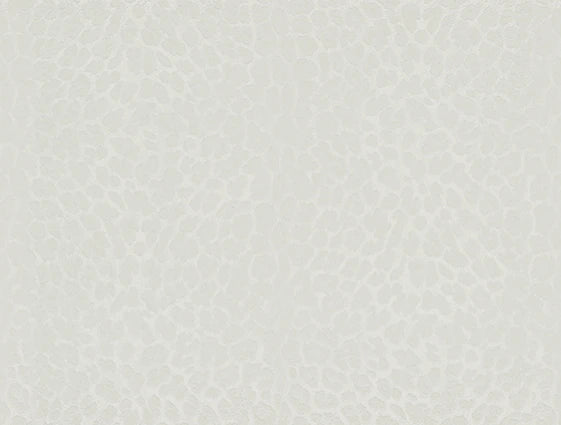 Philipp Plein Z80041 Wallpaper
