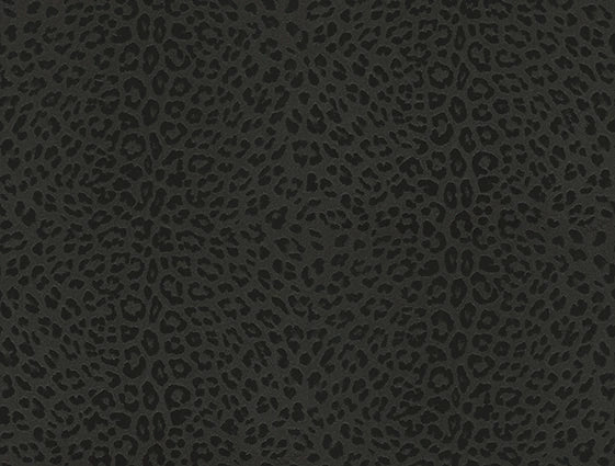 Philipp Plein Z80042 Wallpaper