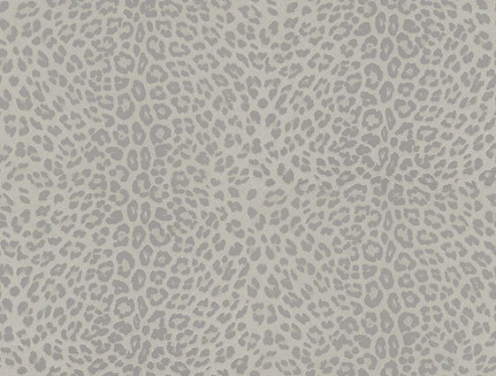 Philipp Plein Z80044 Wallpaper