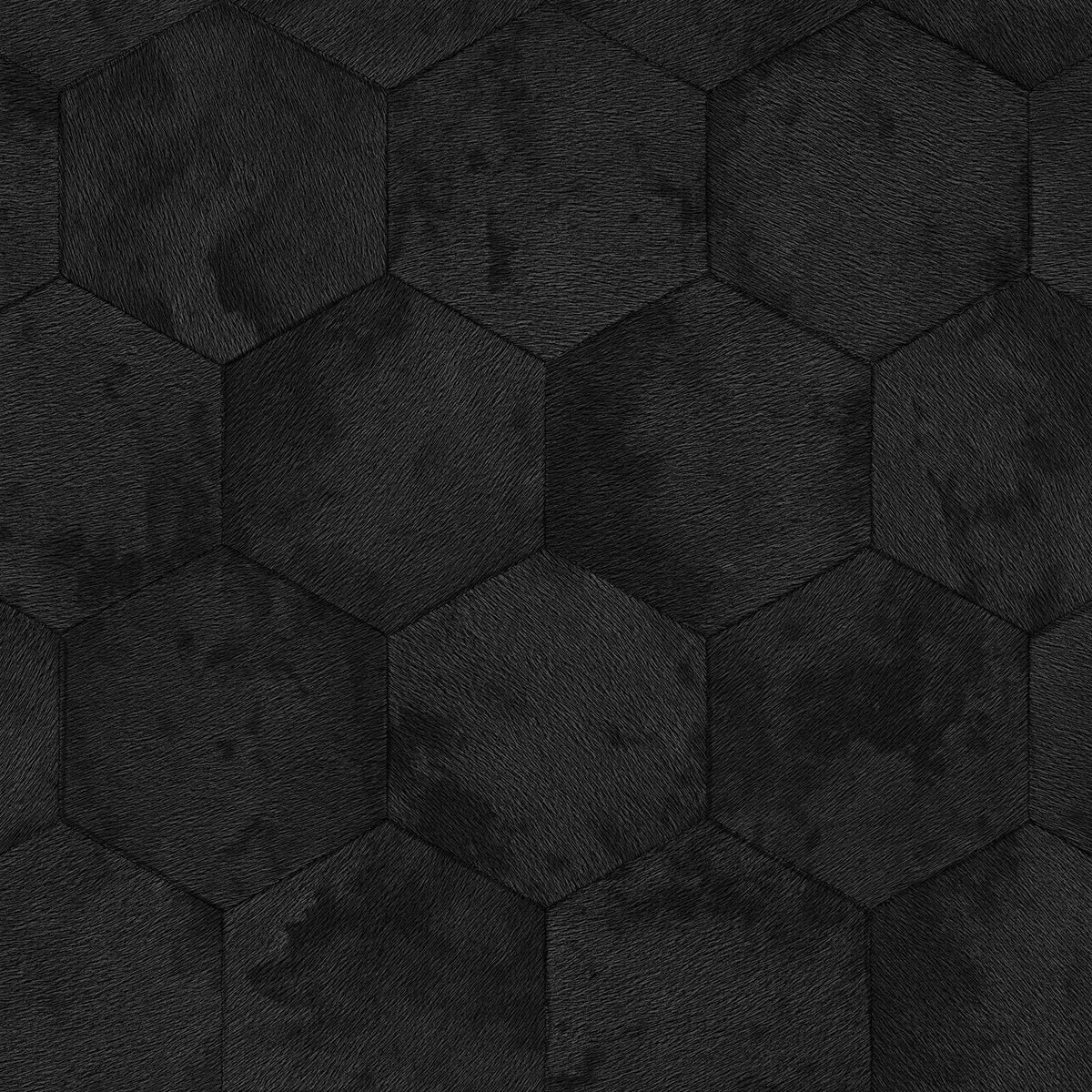 Philipp Plein Z81025 Wallpaper