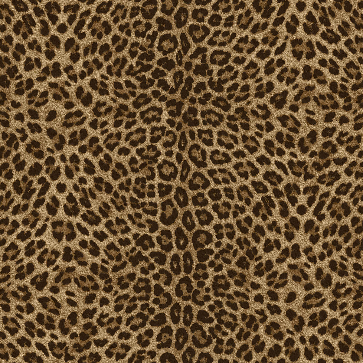 Philipp Plein Z81029 Wallpaper