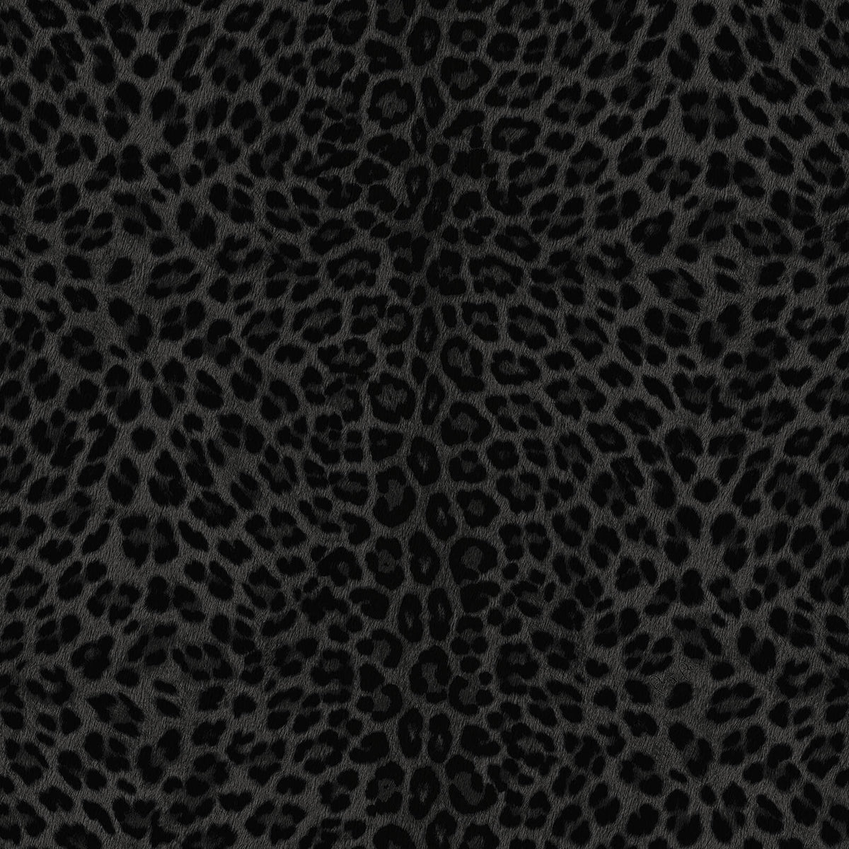 Philipp Plein Z81031 Wallpaper