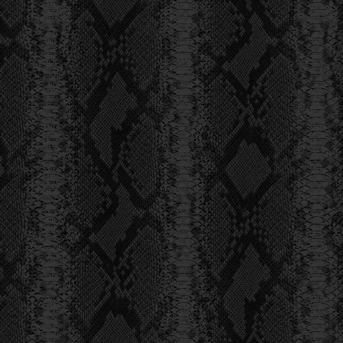 Philipp Plein Z81034 Wallpaper